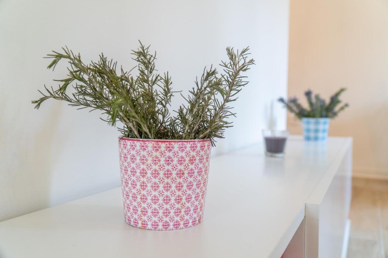 Apartman Soto Pirovac Dış mekan fotoğraf